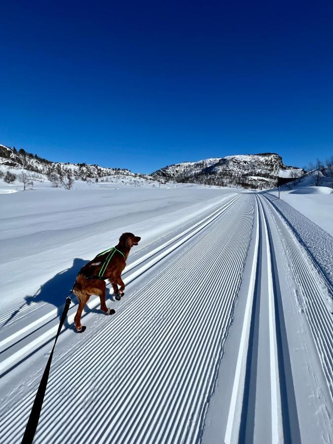 Flott Leilighet Pa Haugen I Sirdal Tjorhom Buitenkant foto