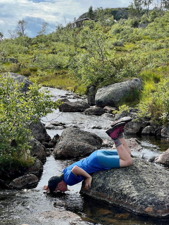 Flott Leilighet Pa Haugen I Sirdal Tjorhom Buitenkant foto