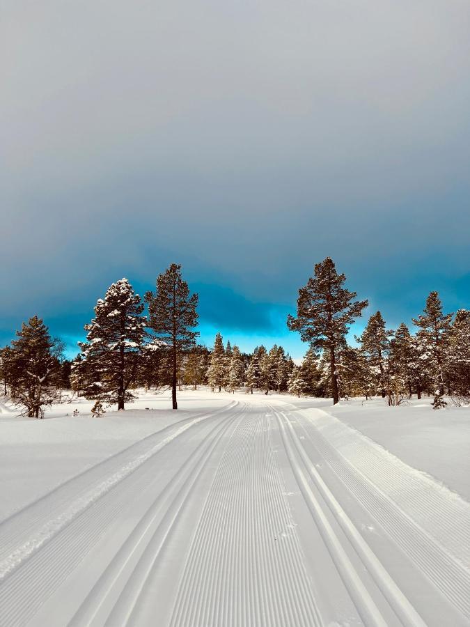 Flott Leilighet Pa Haugen I Sirdal Tjorhom Buitenkant foto